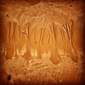 S_Scamardi-bosco in spiaggia_Cadiz maggio 2015