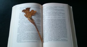 Partigiano J con daffodil