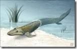 tiktaalik