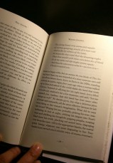 Winter Journal_Auster