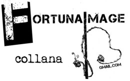logo fortuna image