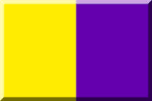 geometrie in giallo e viola