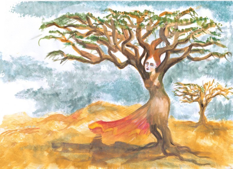 albero della Mirra.jpg