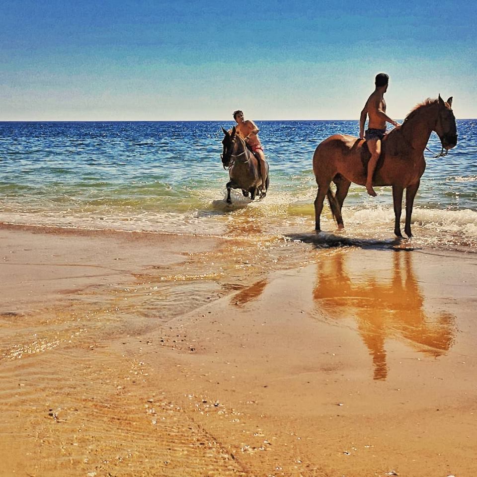 scamardistudio-Centauri- Andalusia Settembre 2018