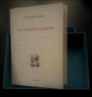 Joppolo-Gli alberi di Alberto (2)