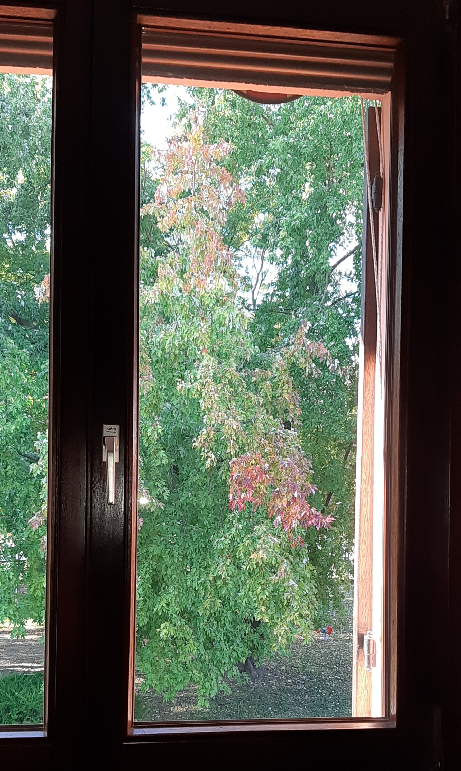 wp-16354954164418294126887604681345