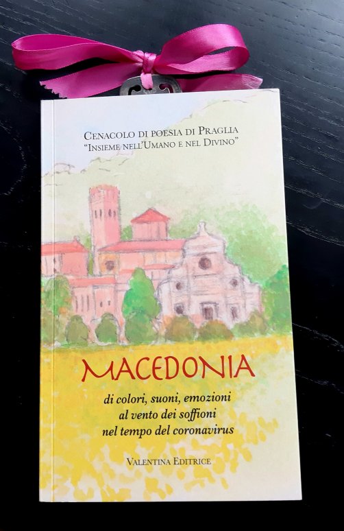 wp-1681727125927402013702022290377